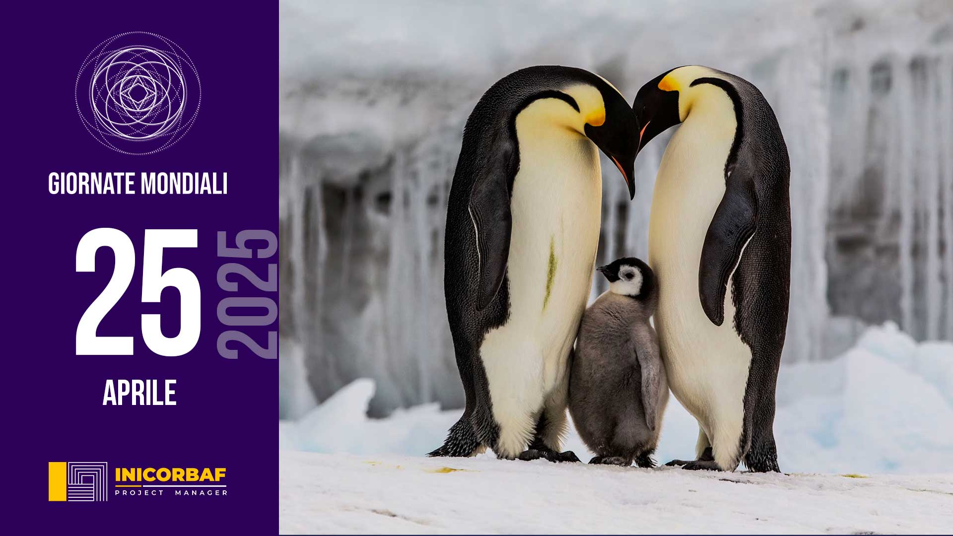  Giornata Mondiale del pinguino