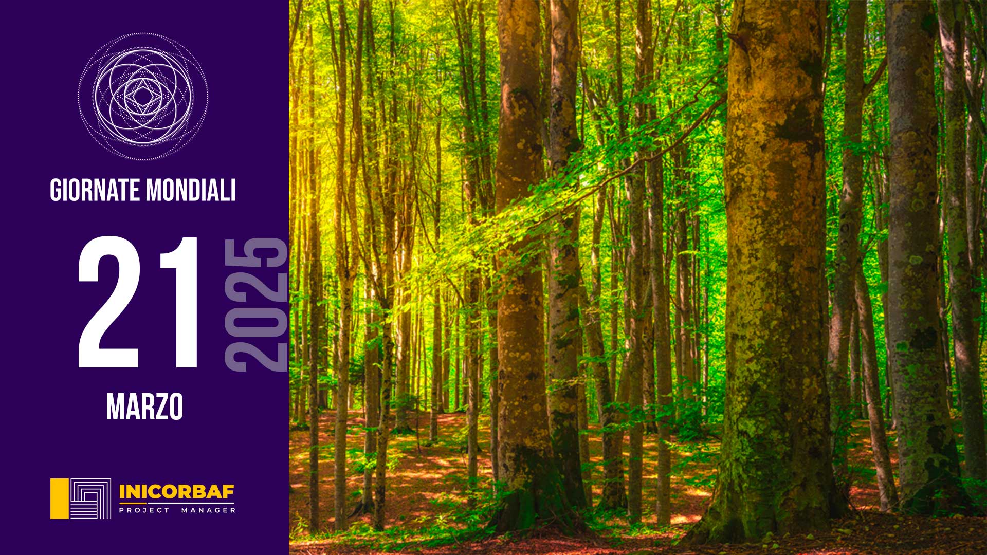 Giornata Internazionale delle foreste