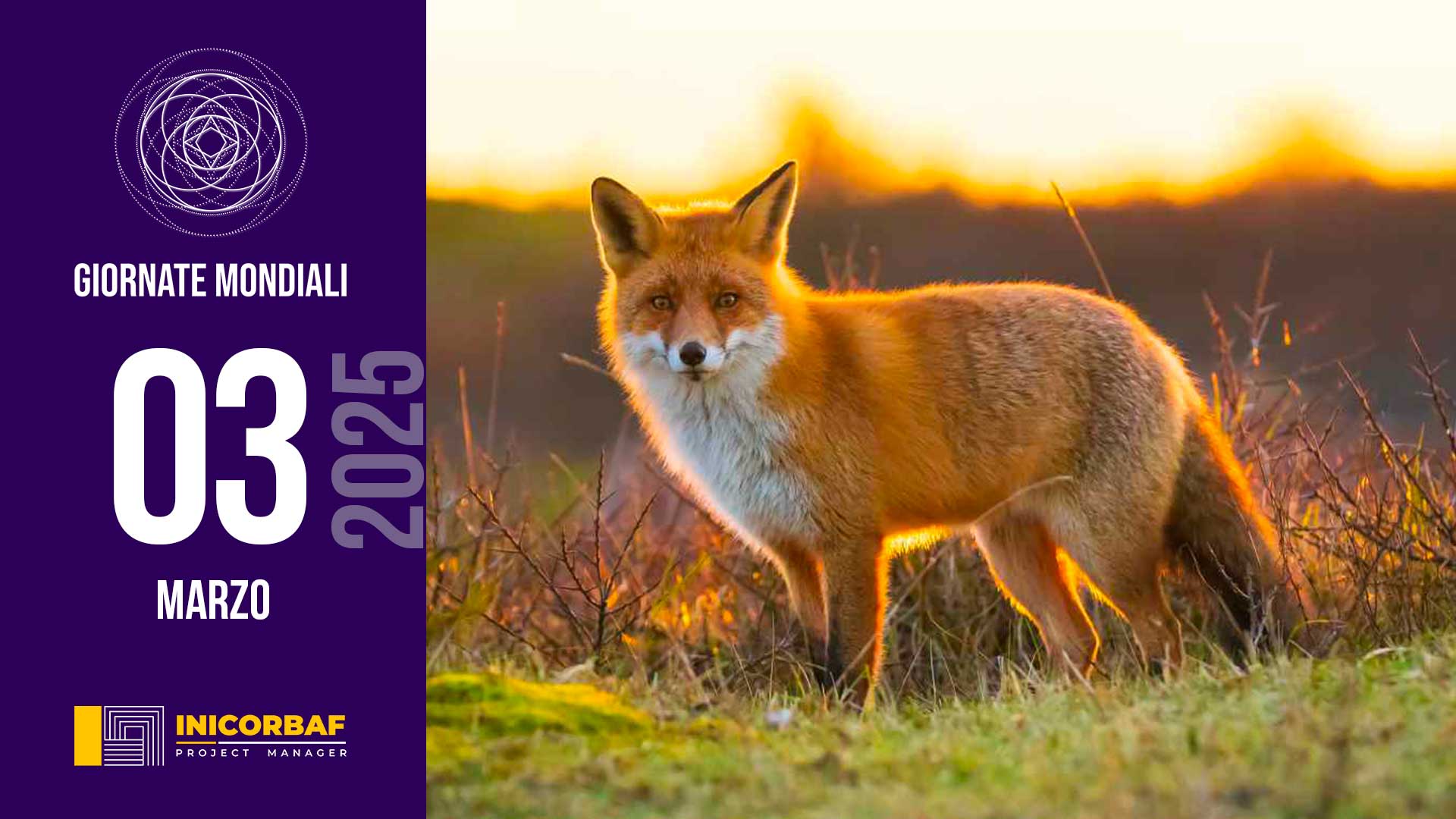 Giornata Mondiale della fauna selvatica