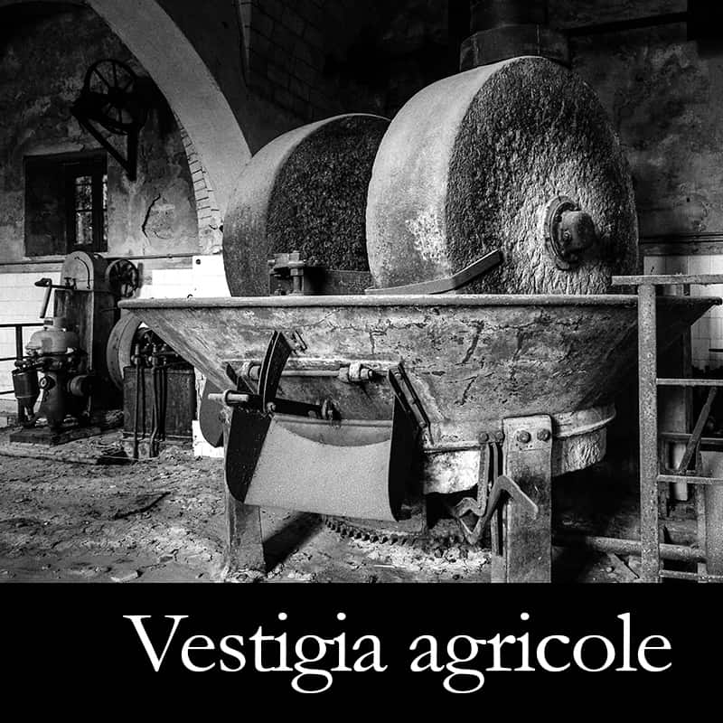 Vestigia agricole - Vincenzo Ammazzalorso